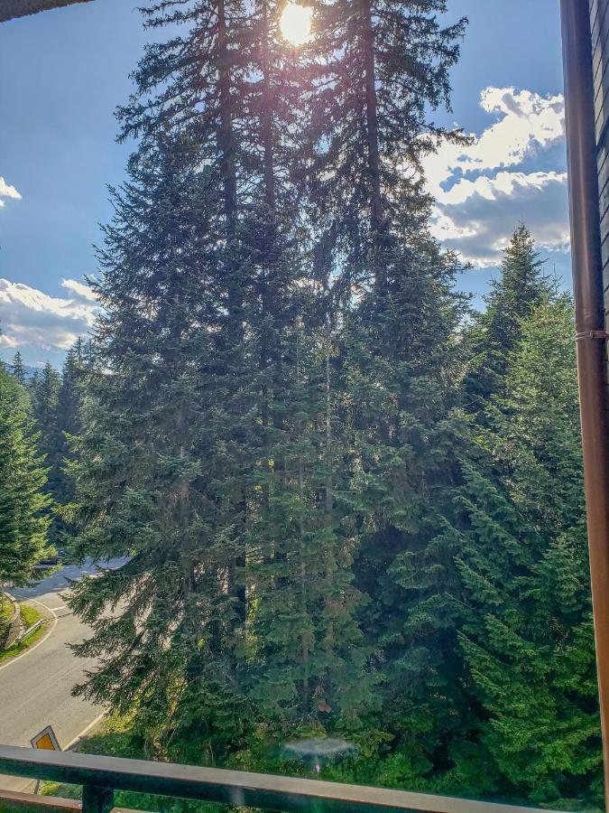 Lovely Borovets Apartment Dış mekan fotoğraf