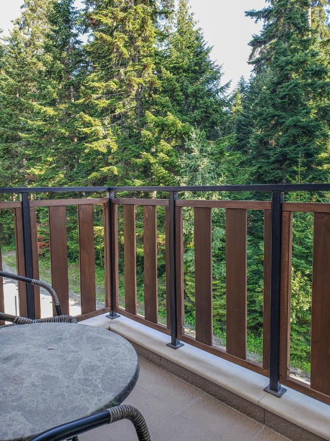 Lovely Borovets Apartment Dış mekan fotoğraf