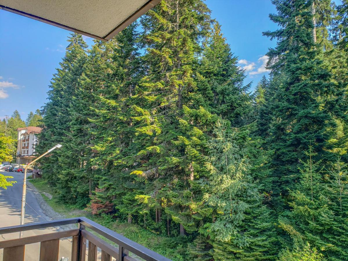 Lovely Borovets Apartment Dış mekan fotoğraf
