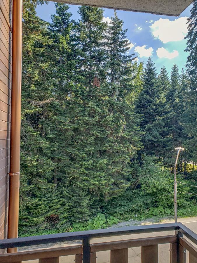 Lovely Borovets Apartment Dış mekan fotoğraf