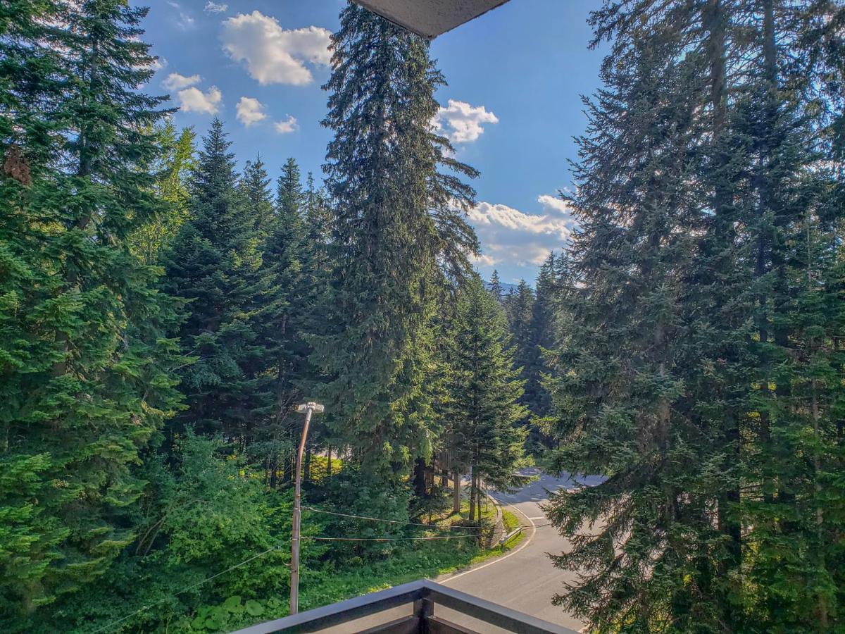 Lovely Borovets Apartment Dış mekan fotoğraf
