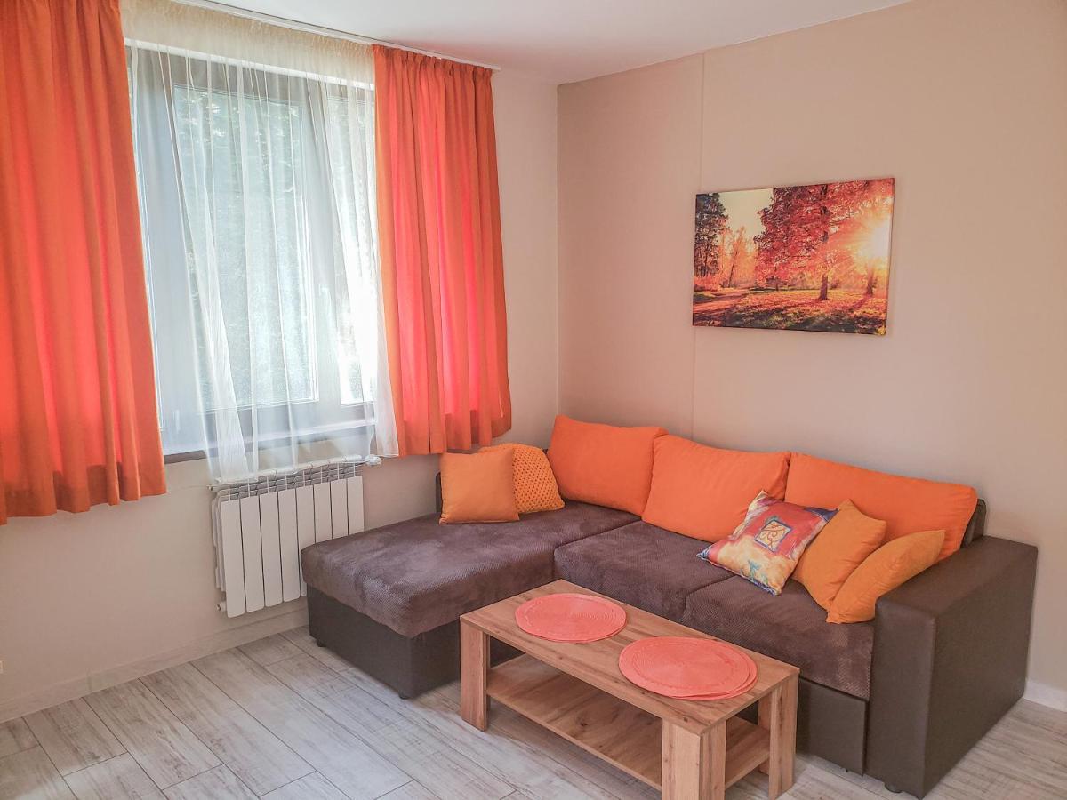 Lovely Borovets Apartment Dış mekan fotoğraf