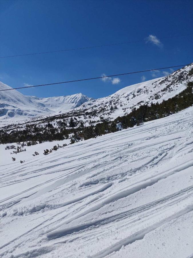 Lovely Borovets Apartment Dış mekan fotoğraf
